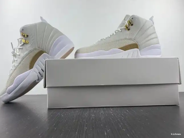 Cheap 12 White Jordan 873864-102 Retro OVO 0516